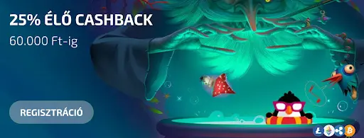 BoaBoa Casino – 25% élő cashback promóció regisztrált játékosoknak 25% élő cashback ajánlat 60.000 Ft-ig a BoaBoa Casinónál